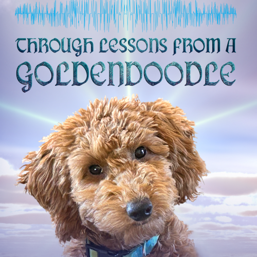 God Speaks Through Lessons from a Goldendoodle